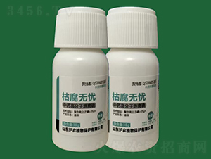 ݸo(w)n-ˎֲԴ-o(h)r(nng)ֲ