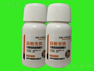 ׷۟o(w)n-VVˎ-o(h)r(nng)ֲ