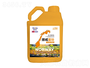 Ų-ʩ_-(yu)r(nng)I(y)