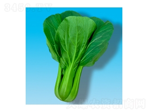 ๣˷N-349-A孷NI(y)