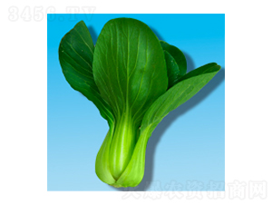 ๣˷N-353-A孷NI(y)