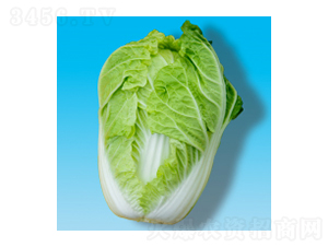 ײ˷N-S003-A孷NI(y)