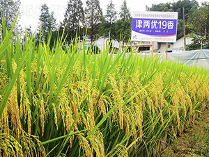 Ƀ(yu)-ˮN-𽡷NI(y)