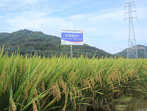 Ƀ(yu)2̖(ho)-ˮN-𽡷NI(y)