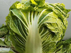 ذ6̖(ho)-ײ˷N-SNI(y)