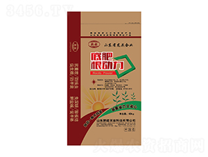 ׷ʸ(dng)-³r(nng)I(y)