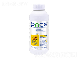 տ̼øVԴ\𵰰Һ-ľ|ᡤտ-˹