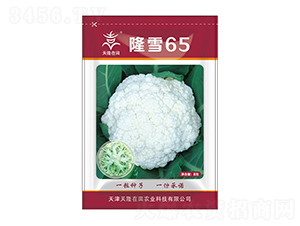 ¡ѩ65-¡-¡r(nng)I(y)