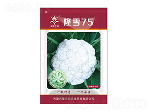 ¡ѩ75-¡-¡r(nng)I(y)